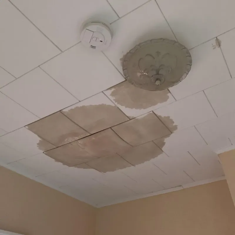 Ceiling Water Damage Repair in Herricks, NY